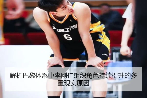 解析巴黎体系中李刚仁组织角色持续提升的多重现实原因